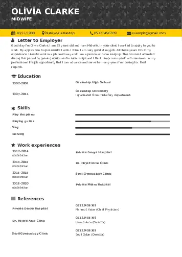 Midwife resume example
